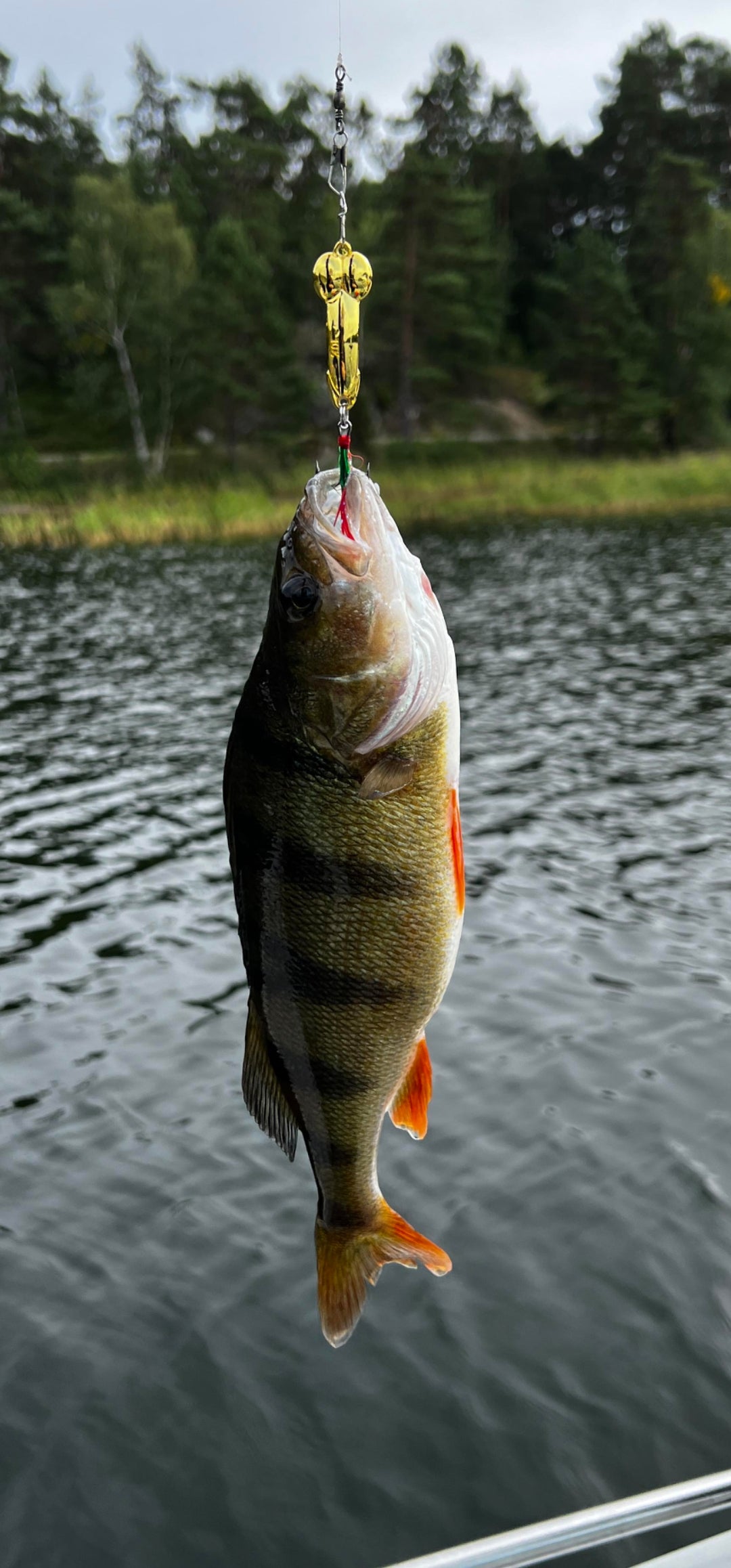 dildo fishing lurer BCK DICH Lure plug-AliExpress