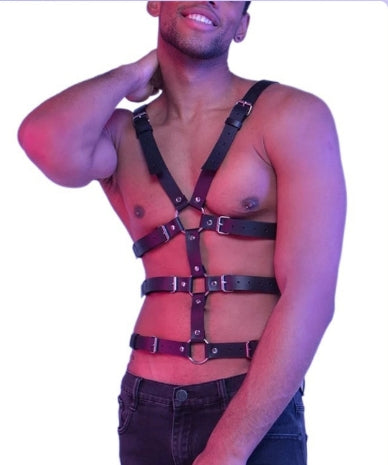 Harness, three bands over the stomach