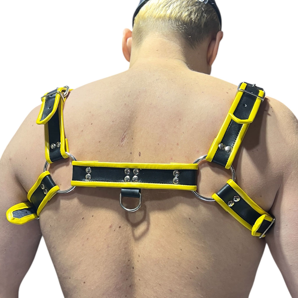 Harness i svart och gult äkta läder, typ bulldog