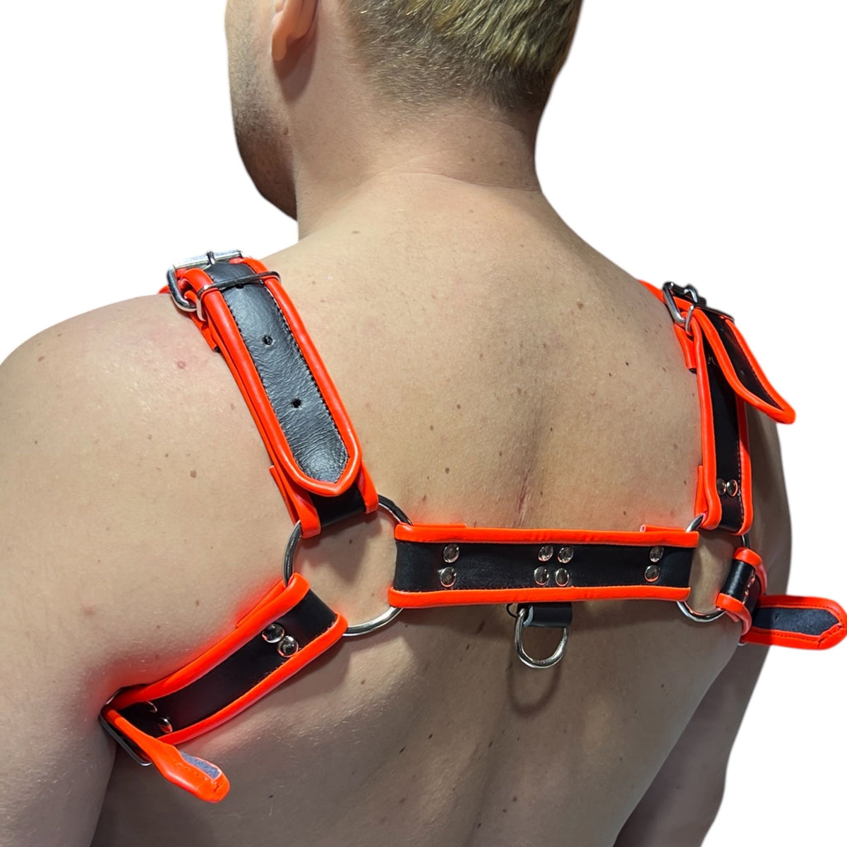 Harness i svart och klar orange äkta läder, typ bulldog
