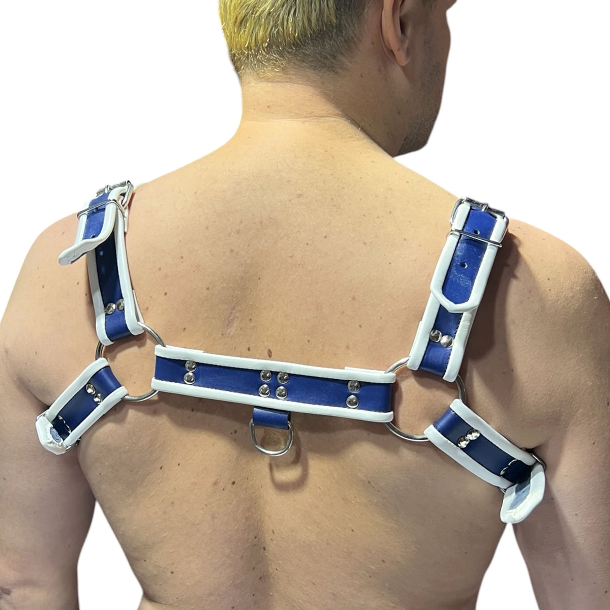 Harness i blått och vitt äkta läder, typ bulldog