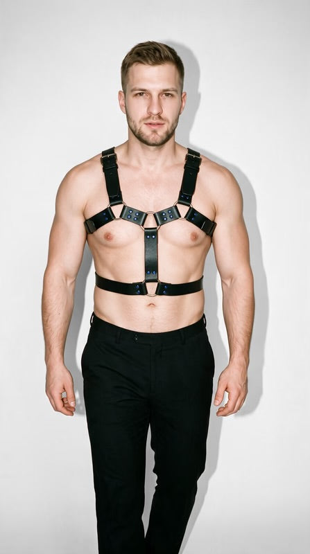 Harness i svart och i läder, typ bulldog med dubbla band