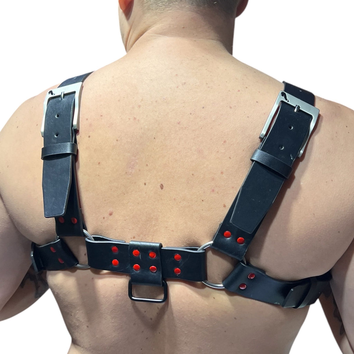 Harness i svart äkta läder med röda nitar, typ bulldog
