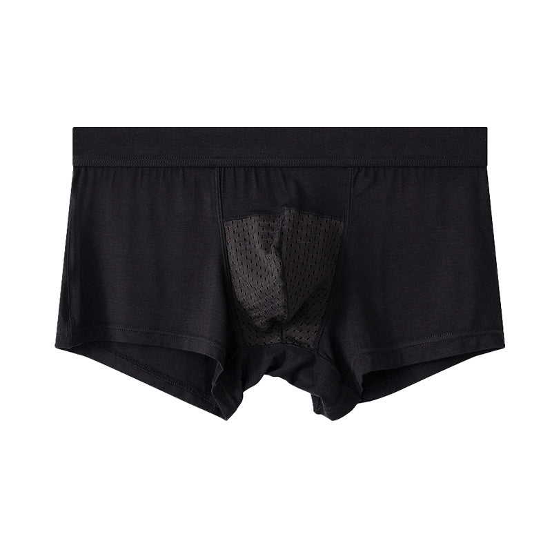 Trunk med meshfront