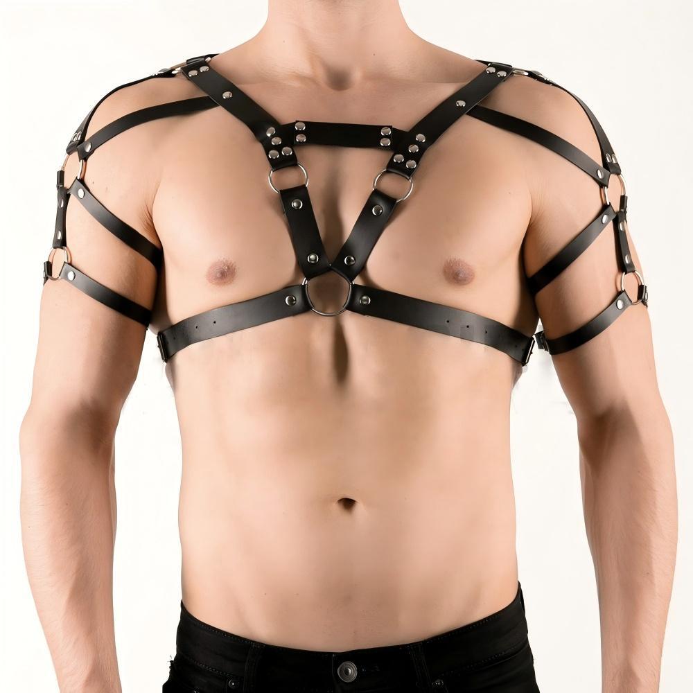 Harness with straps over the shoulders, torso, and biceps