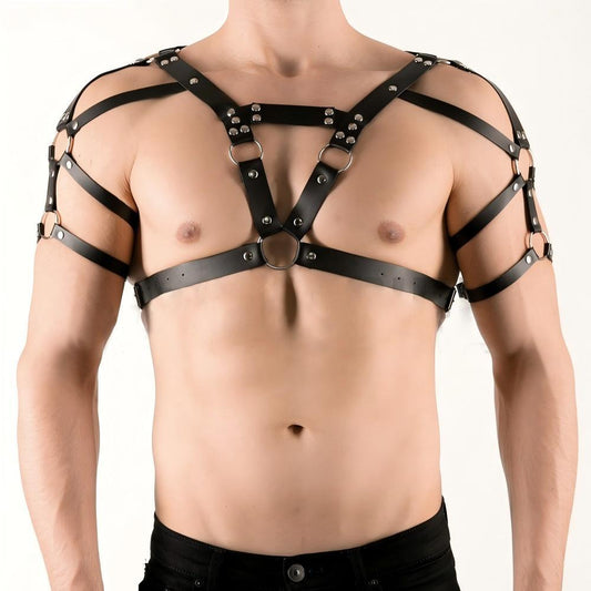 Harness with straps over the shoulders, torso, and biceps