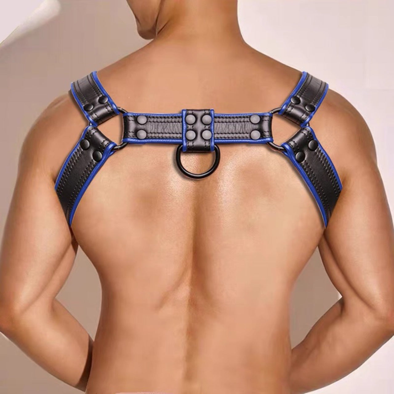 Harness - Bulldog with detachable strap front