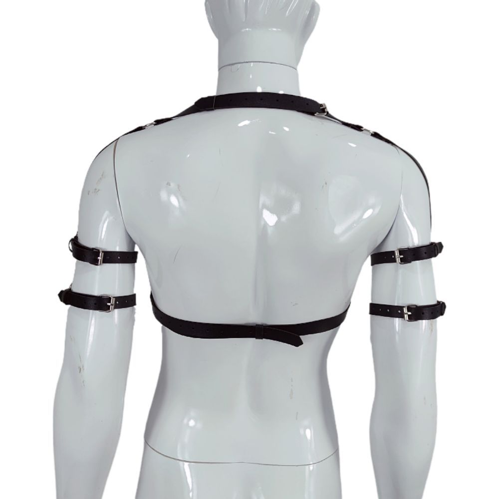 Harness with straps over the shoulders, torso, and biceps