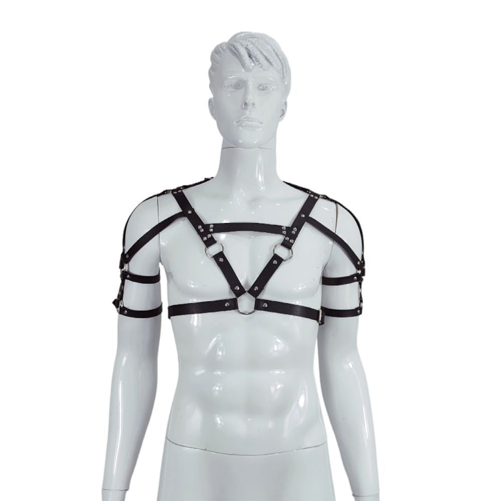 Harness with straps over the shoulders, torso, and biceps