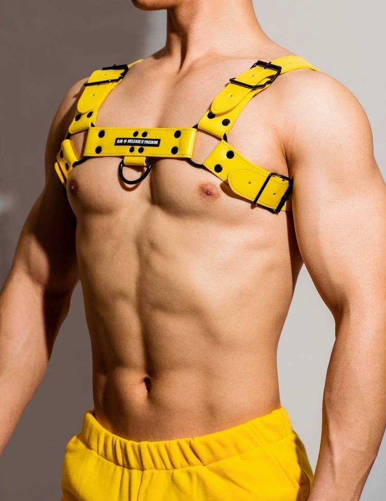 Yellow bulldog harness with black details