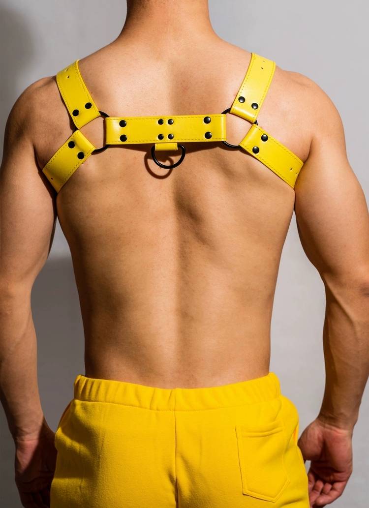 Yellow bulldog harness with black details