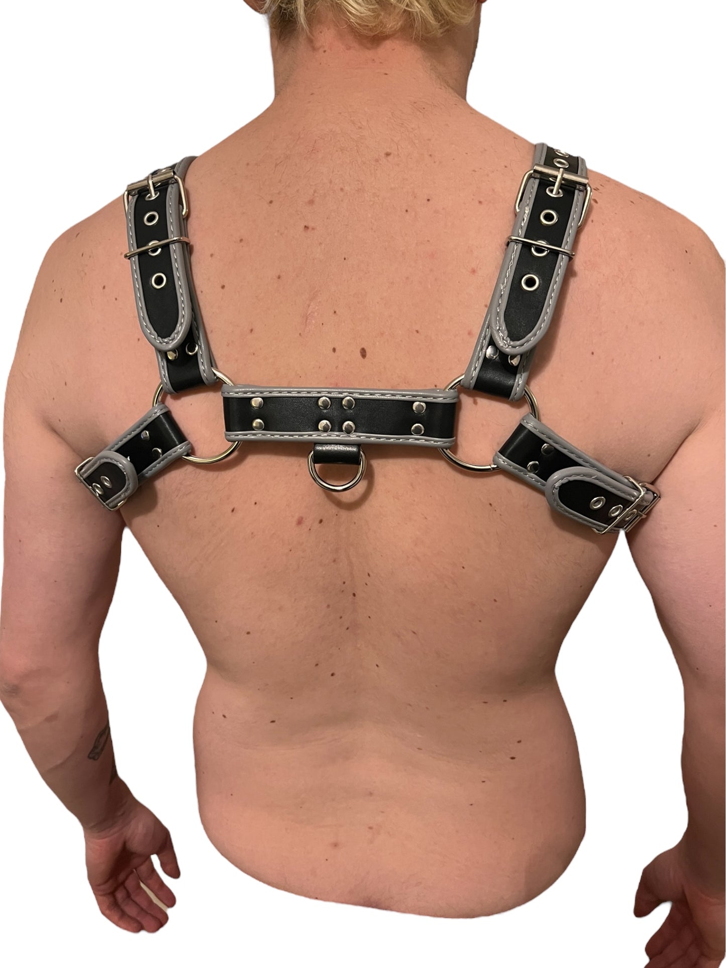 Harness, type bulldog, gray/black