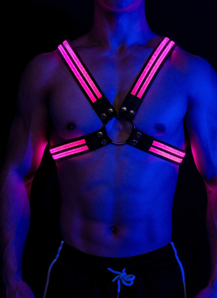 Led harness, självlysande harness