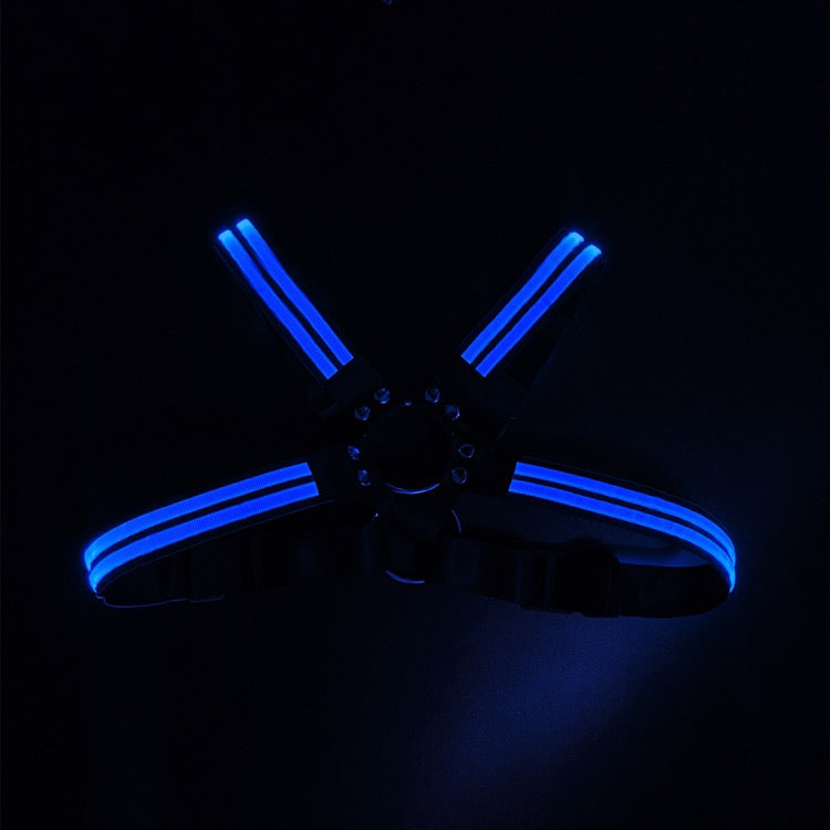 Led harness, självlysande harness