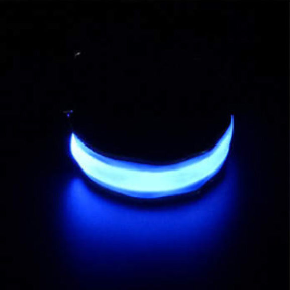 LED muscle armband