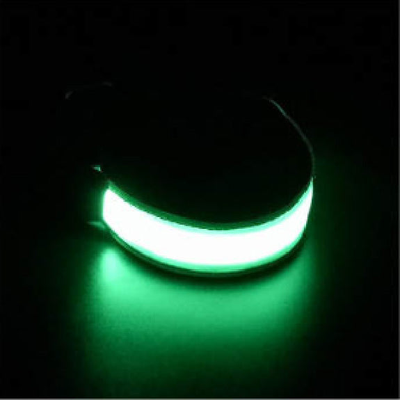 LED muscle armband