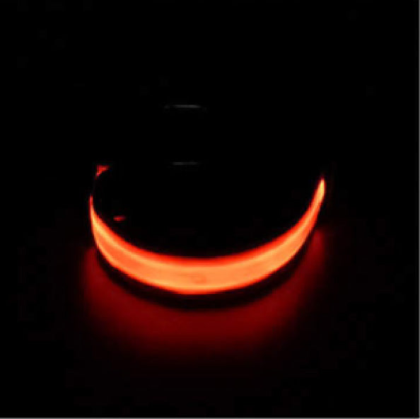 LED muscle armband