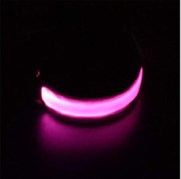 LED muscle armband