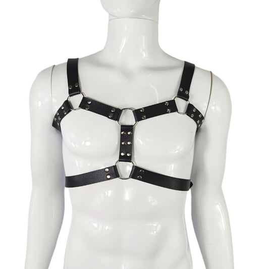 Harness, bulldog harness with double straps