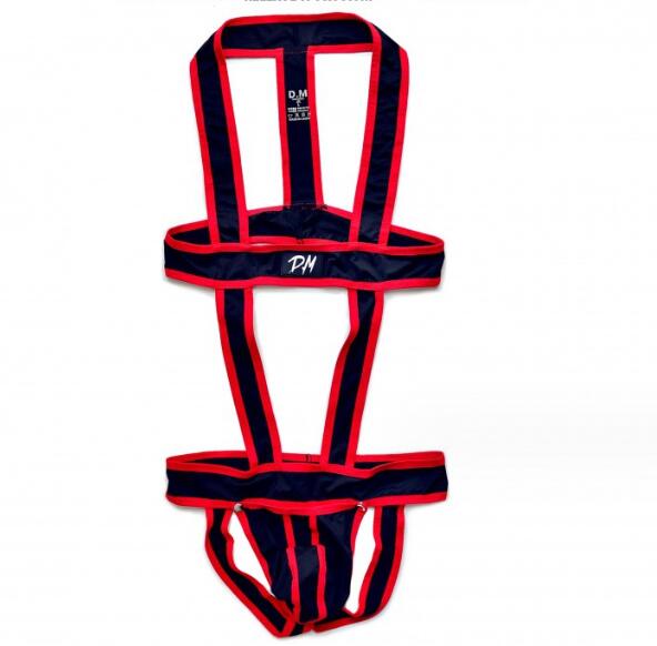 Harness with opening front and jockstraps