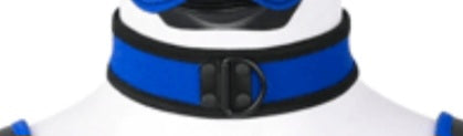 Puppy play collar