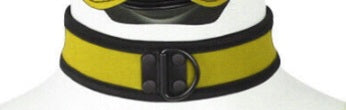 Puppy play collar