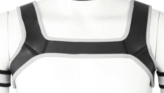 Puppy play harness