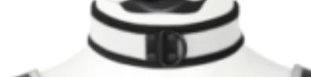 Puppy play collar
