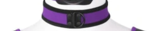 Puppy play collar