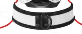 Puppy play collar