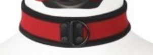 Puppy play collar