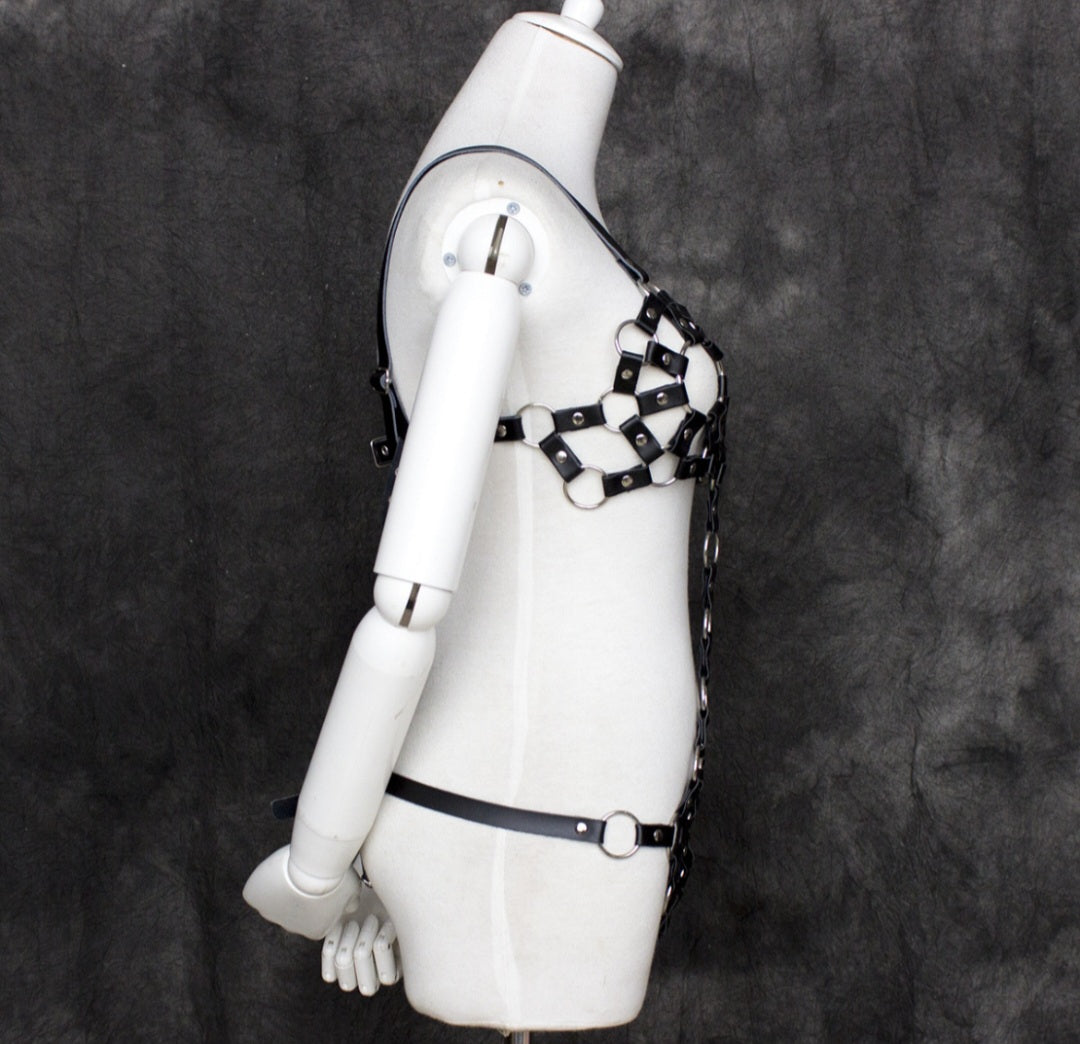 Harness, unik modell med delar för både torso, midja och underdel.