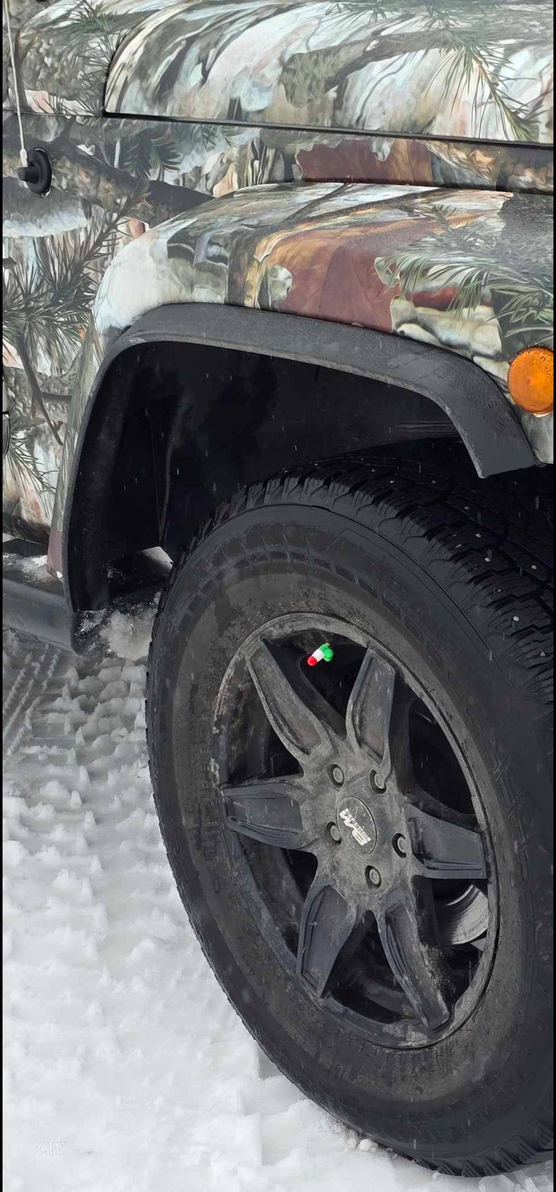 Ventilkappen oder Ventilstecker für Reifen, 4er-Pack. Erhältlich in verschiedenen Farben und passend für die meisten Autos, Motorräder und Fahrräder