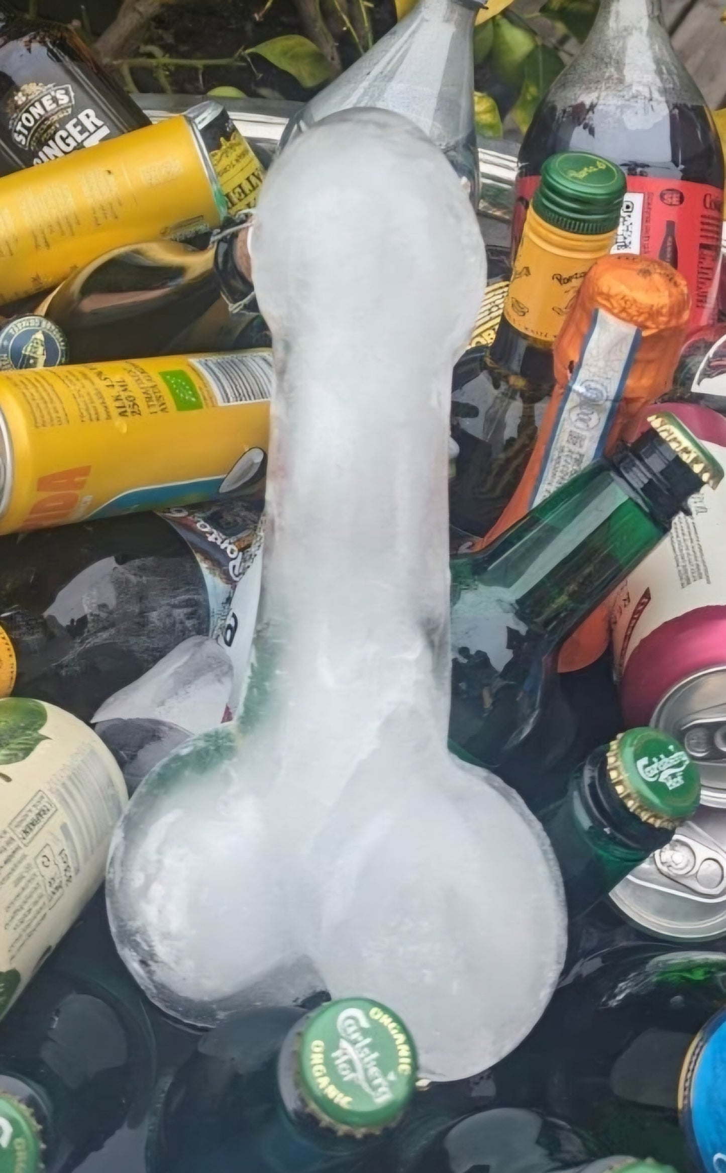 Divertido y diferente molde para repostería o molde para hielo para el enfriador de champán, 30 cm