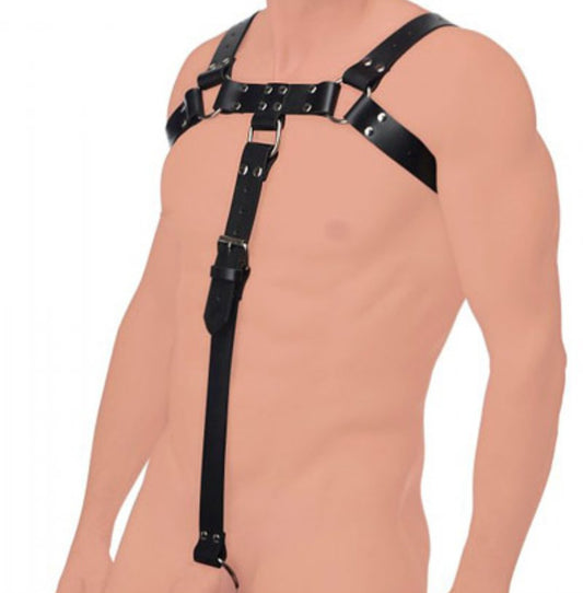 Harness in genuine leather, type bulldog with extra strap in front with ring
