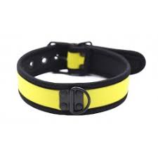 Puppy play collar
