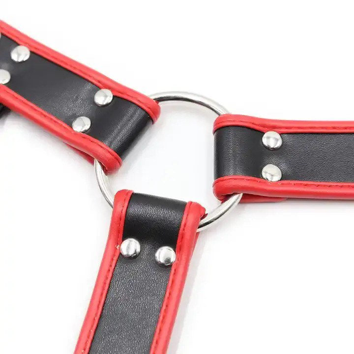 Red/black bulldog harness