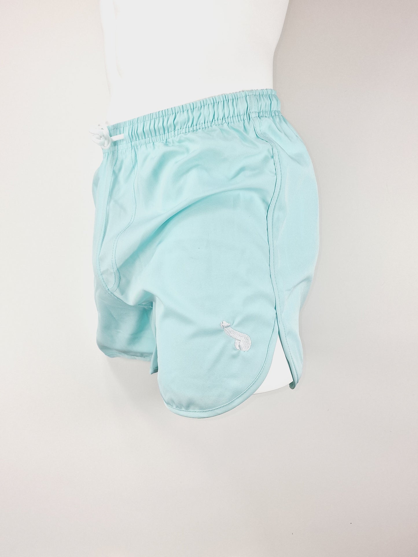 Stylische, dünne und coole Shorts in Türkis. Dickfashion-Mode online zu guten Preisen und schnellen Lieferungen.