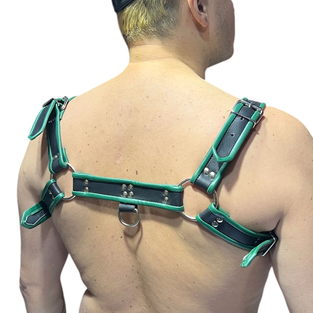 Harness i svart och grönt äkta läder, typ bulldog