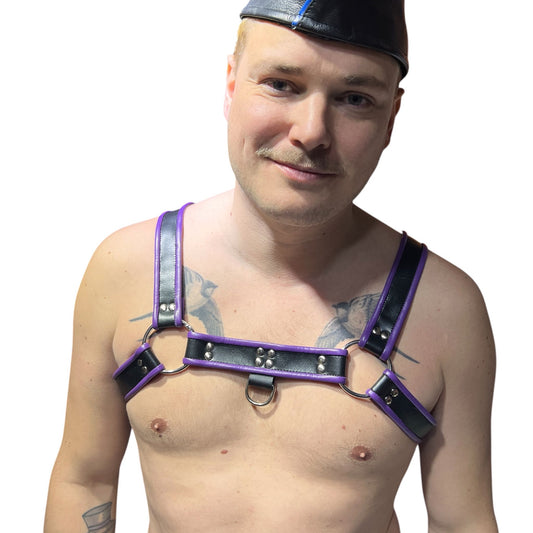 Harness i svart och lila äkta läder, typ bulldog