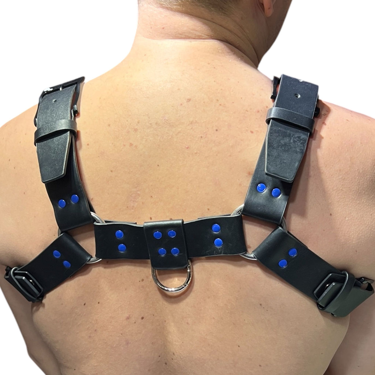 Harness i svart äkta läder med blå nitar, typ bulldog