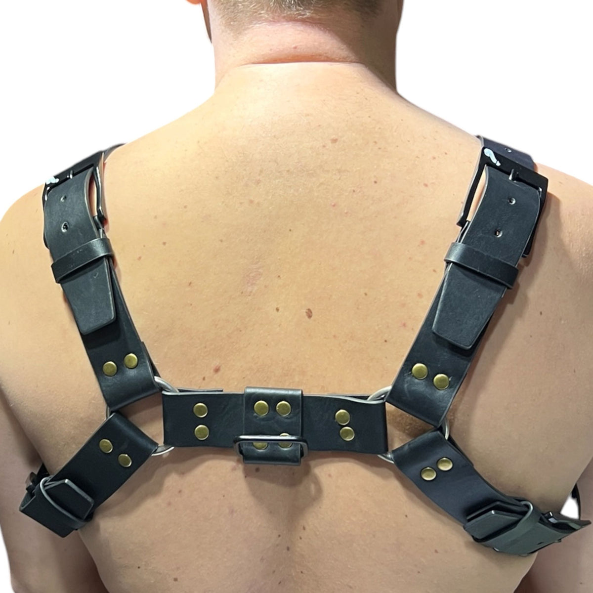 Harness i svart äkta läder med svarta nitar, typ bulldog