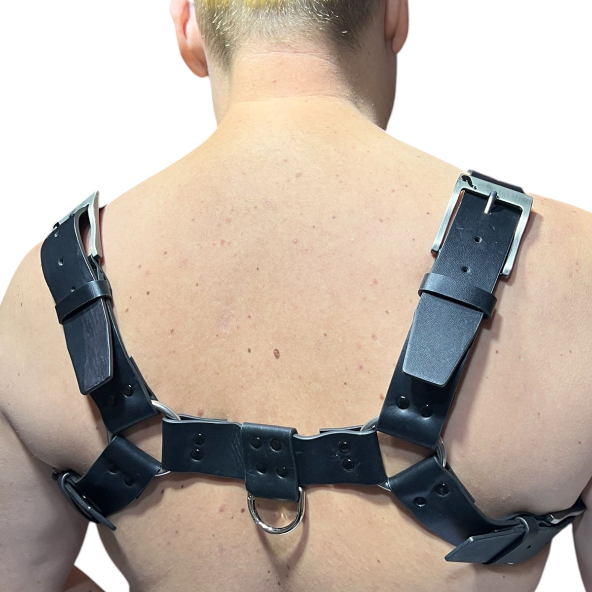 Harness i svart äkta läder med svarta nitar, typ bulldog