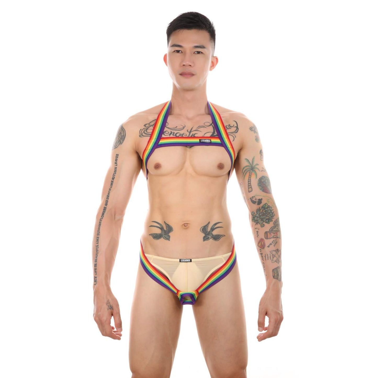 Harness, waistband and penis ring in pride color.