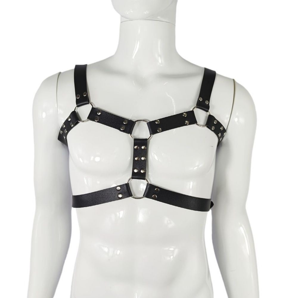 Harness,  bulldog harness med dubbla band