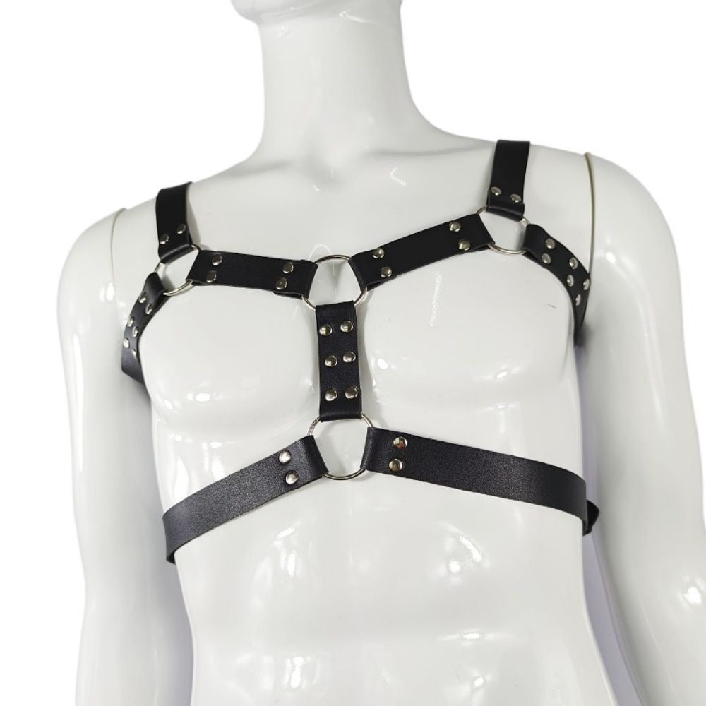 Harness,  bulldog harness med dubbla band