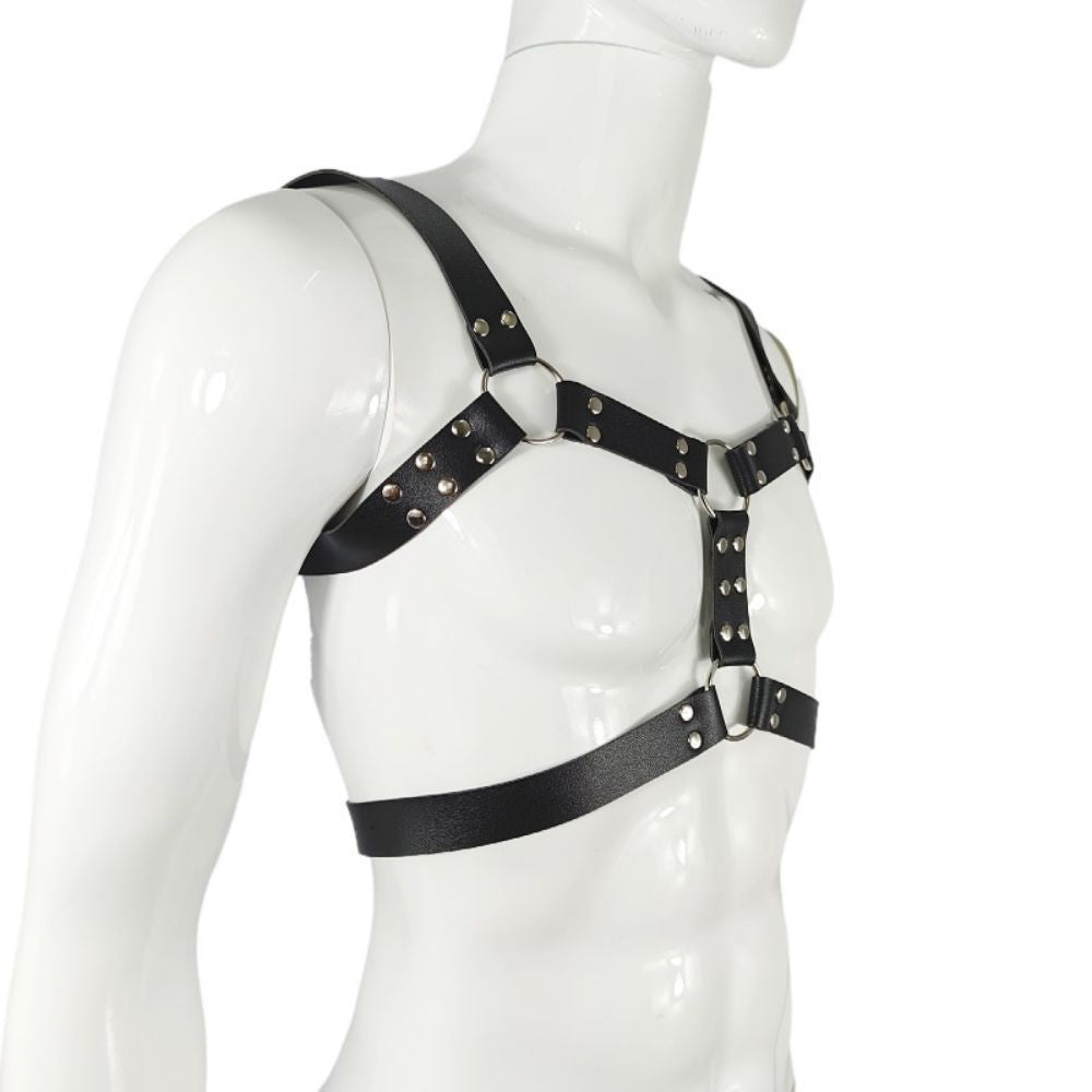 Harness,  bulldog harness med dubbla band