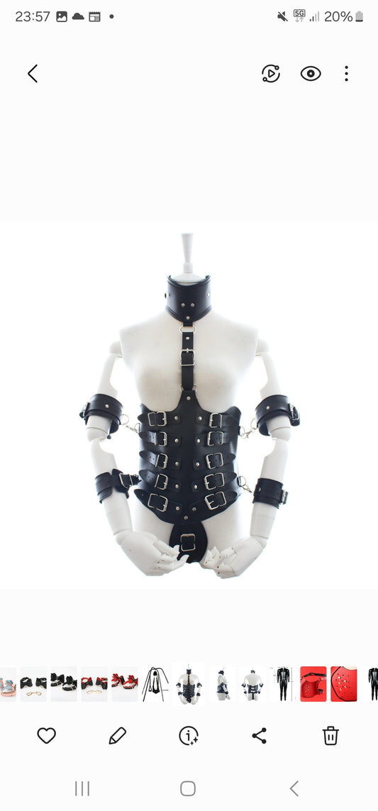 Harness or corset with choker/collar and arm/wrist cuffs