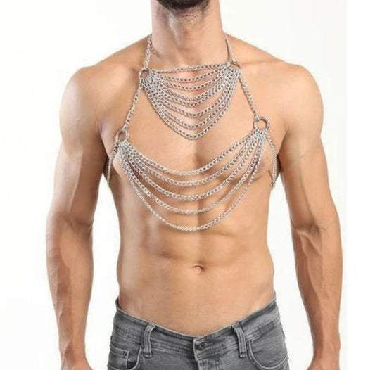 Harness with silver colored chains