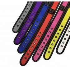 Puppy play collar, many colors